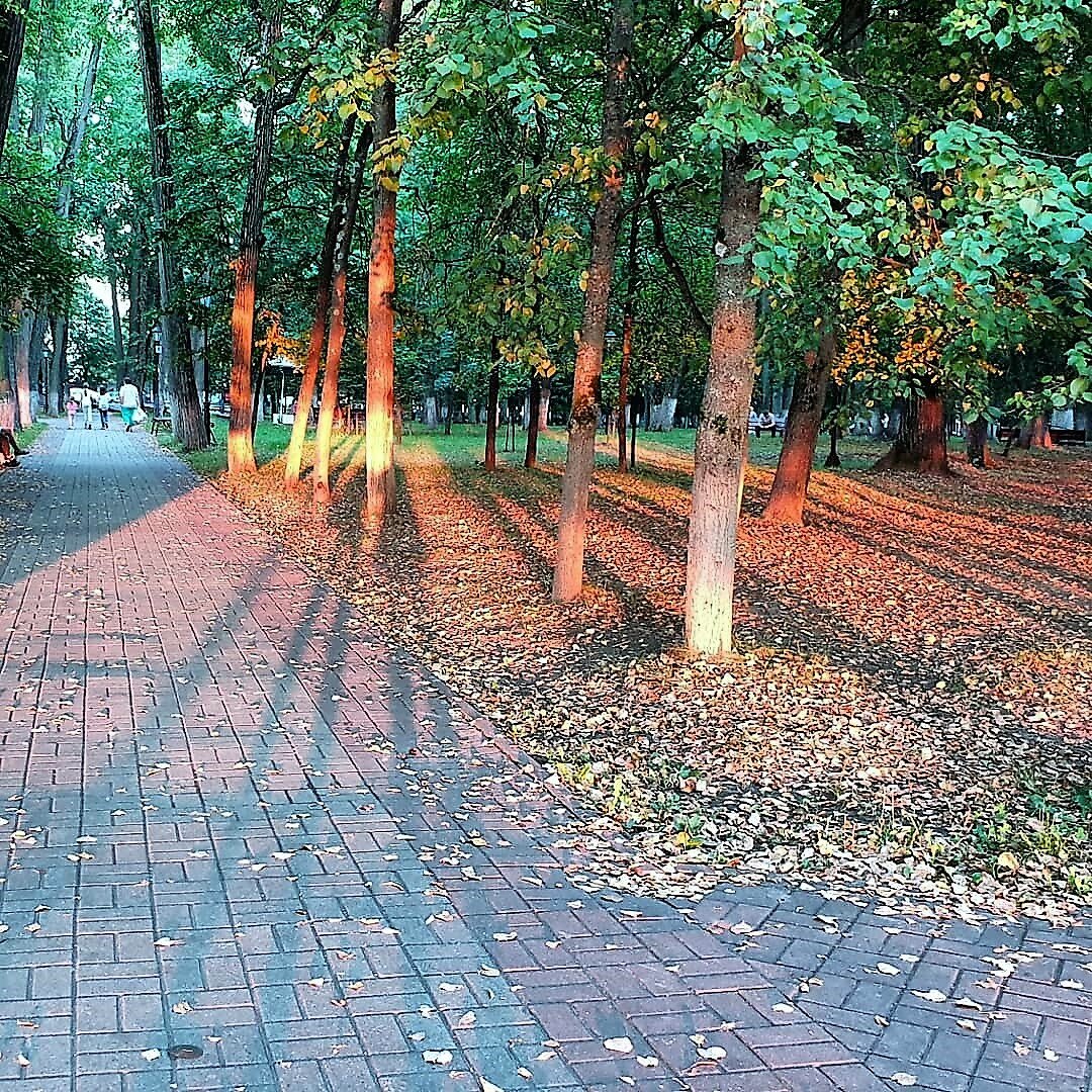 Парк Циолковского г. Калуга