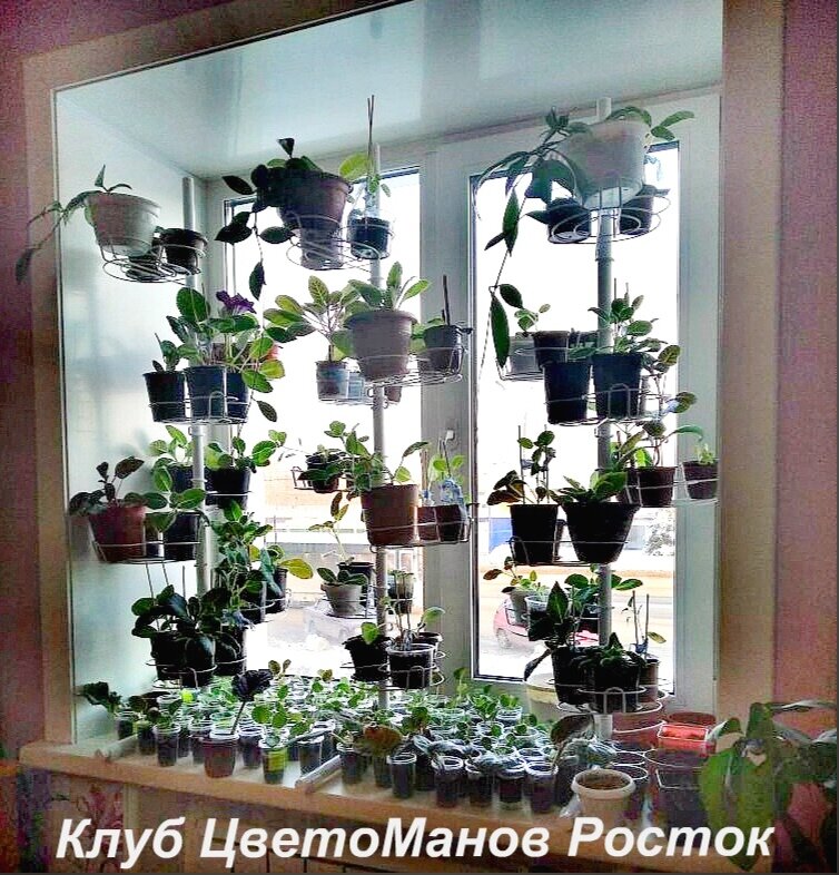 Подставка Трио для небольших растений. 63 местечка и свободный подоконник!