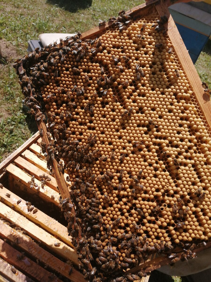 Фото с личного архива 