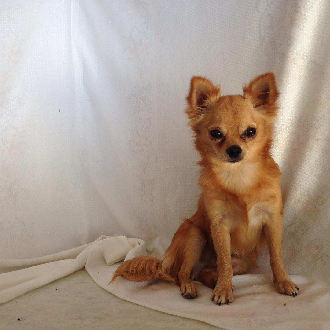 Картинка из сети интернет для иллюстрации