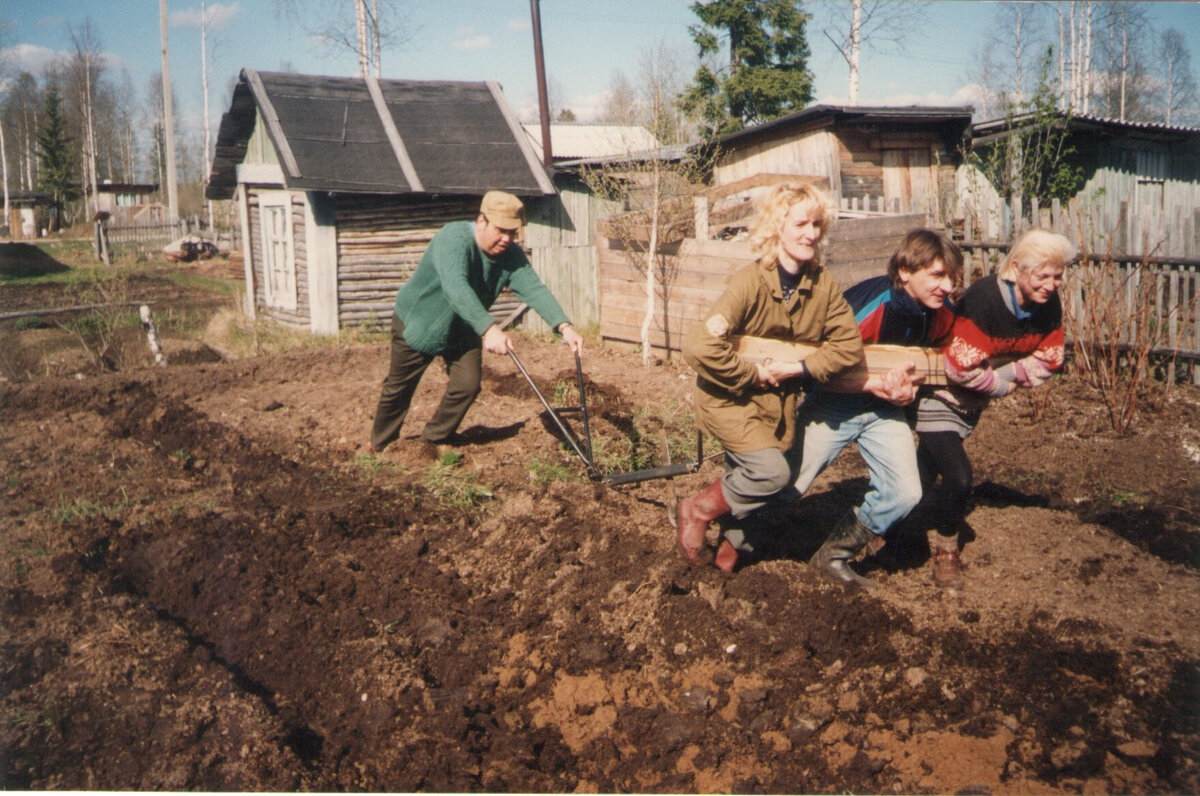 Дачный сезон