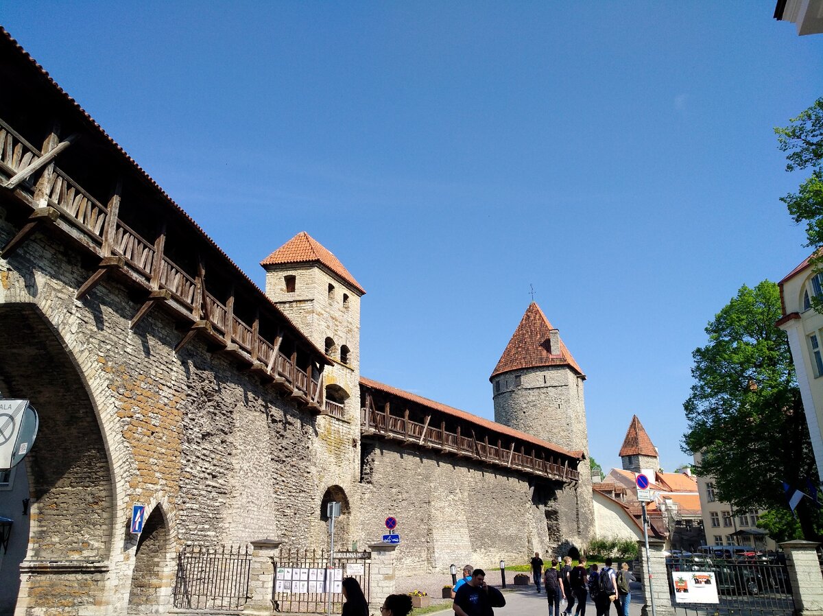 Фото автора.