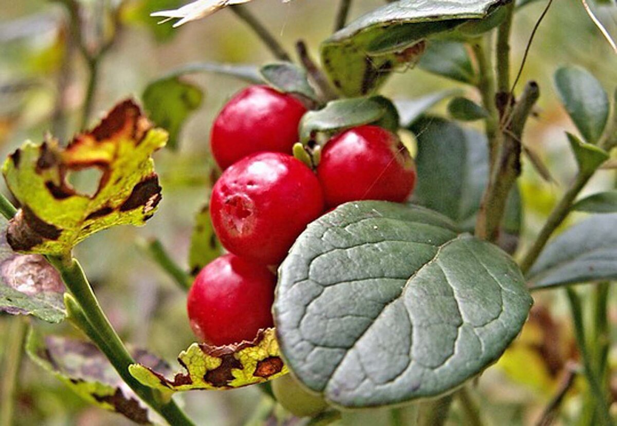 © Фото: ИД «Волгоградская правда» / архив.