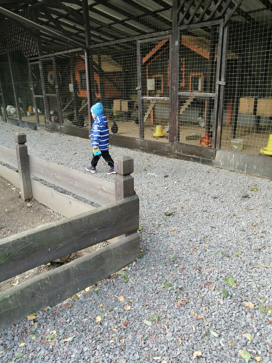 Даже поход в зоопарк может быть стрессом для ребенка.