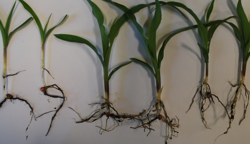 ................ 1 ................................................................... 2 ................................................................. 3 ...................