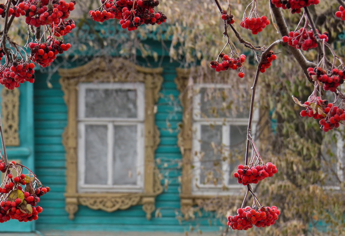 фото из яндекс.картинок