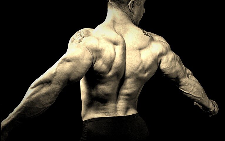 Назад чтобы стать сильнейшим. Мускулы спины. Мускулистая спина. Рельефная спина. Широкая спина.
