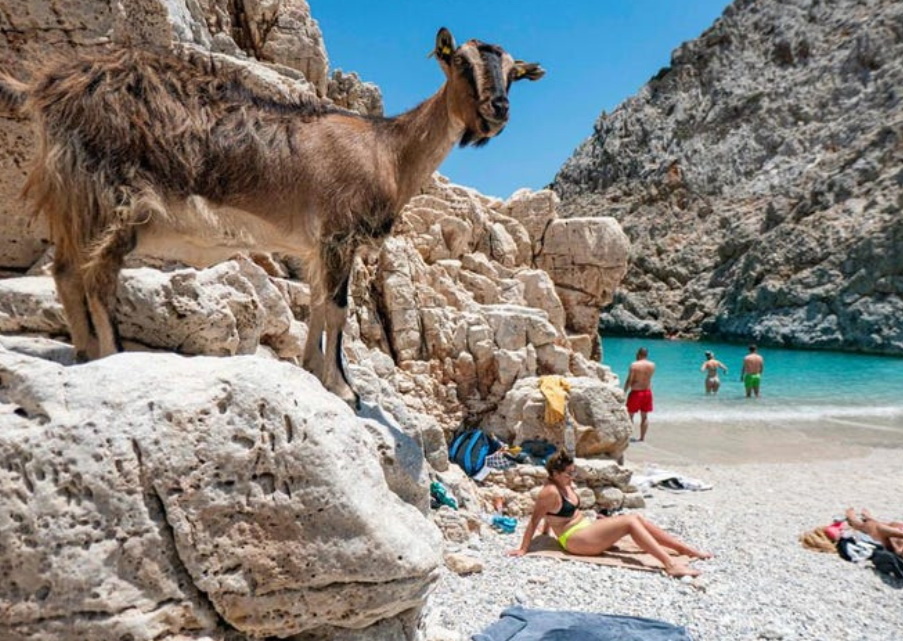 Уединенный пляж Сейтан Лимания на греческом Крите (фото NURPHOTO ЧЕРЕЗ GETTY IMAGES)