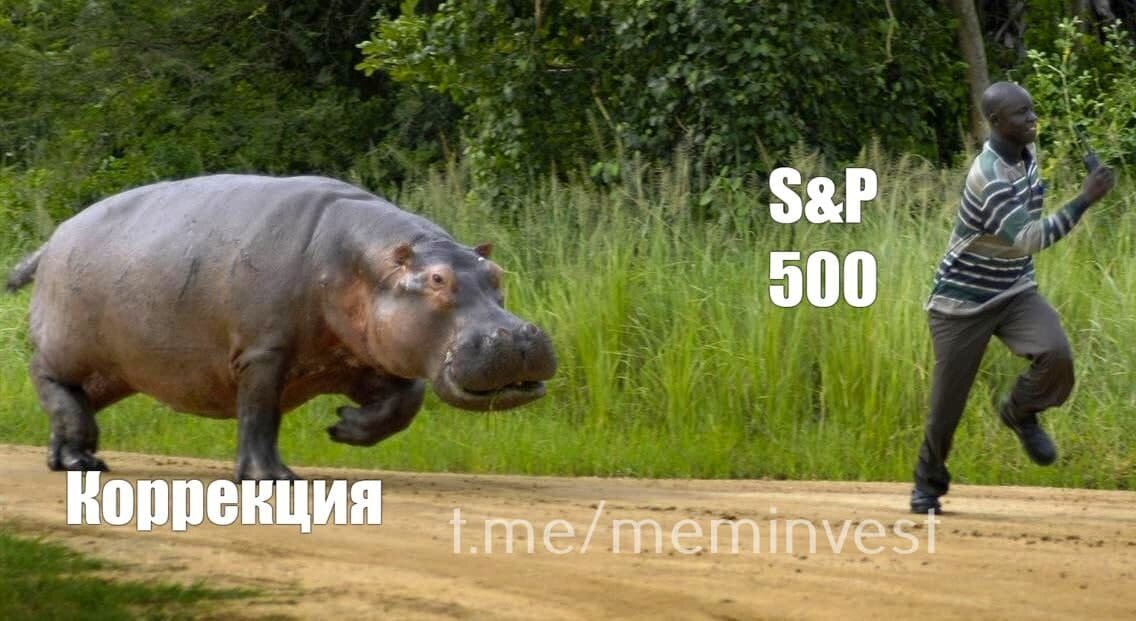 Индекс SP500 (505 крупнейших компаний США) не корректировался уже почти 200 дней. Рекорд за 3 года.