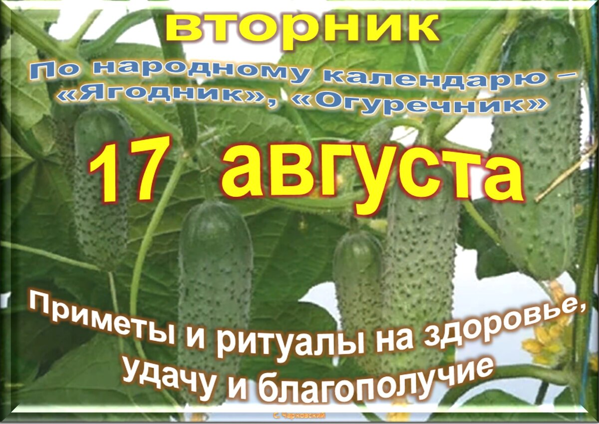 Встречаем новый день