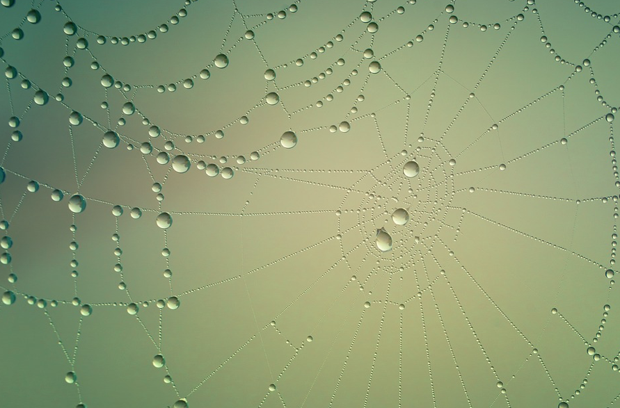 Фото pixabay.com