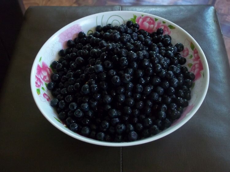 спелая чарника