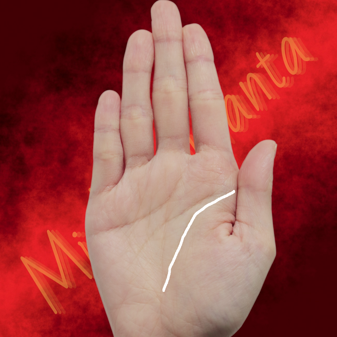 Линия жизни