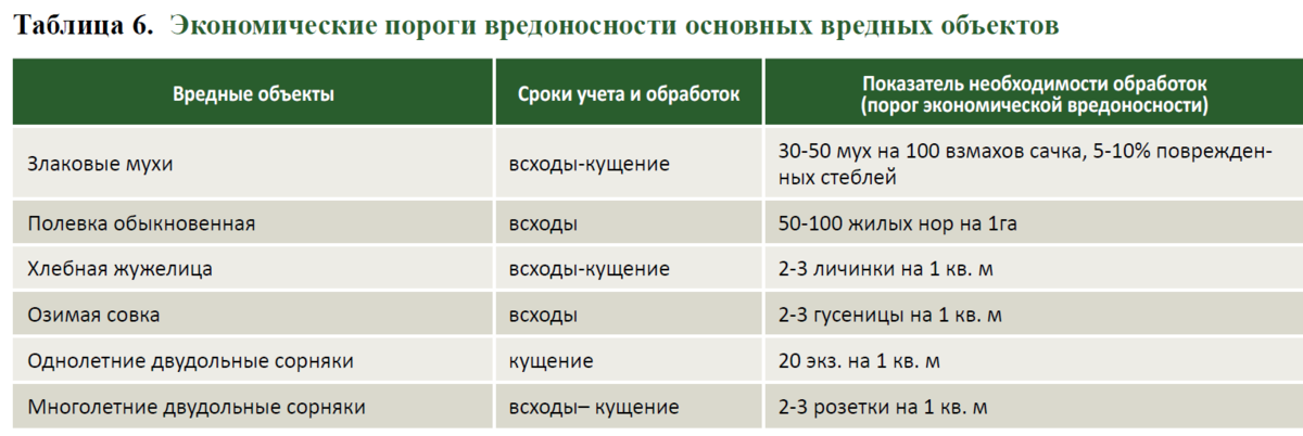 Практическое руководство по проведению осеннего сева