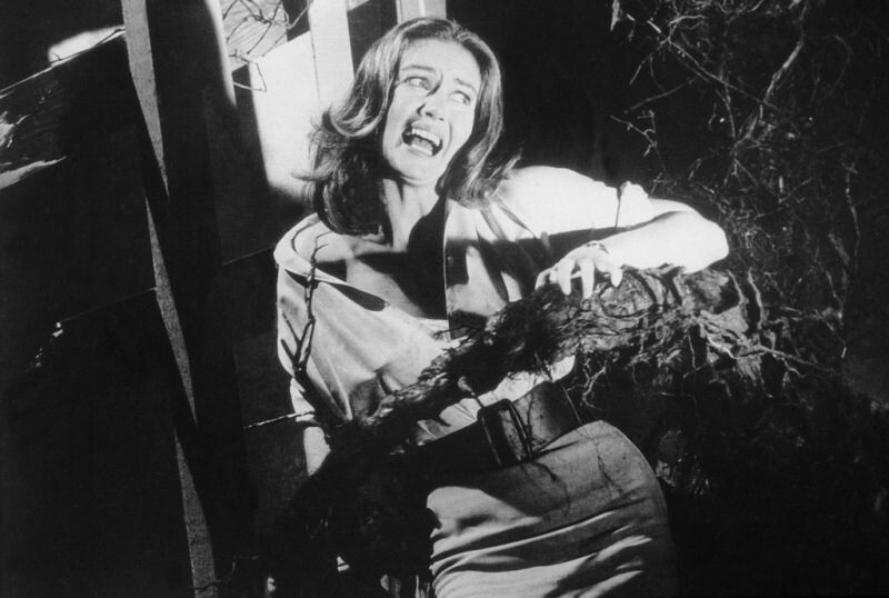 Кадр из фильма "День триффидов" взят для иллюстрации из Яендекс Картинки. 