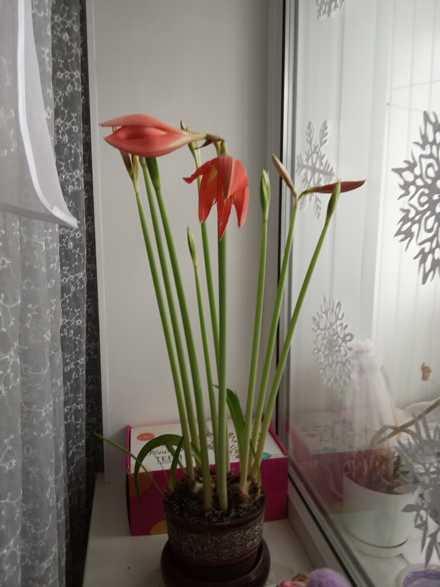 17.12.2021