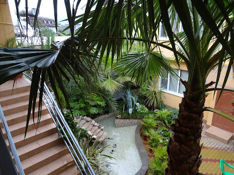 Во дворе гостевого дома "Анастасия". Внутренний двор нам очень понравился.  Видно, как заботливые руки облагораживают его постоянно. Рукотворный водопад - визитная карточка дома.  Установлены столы для настольного тенниса и для игры в бильярд. Все фото из личного архива.