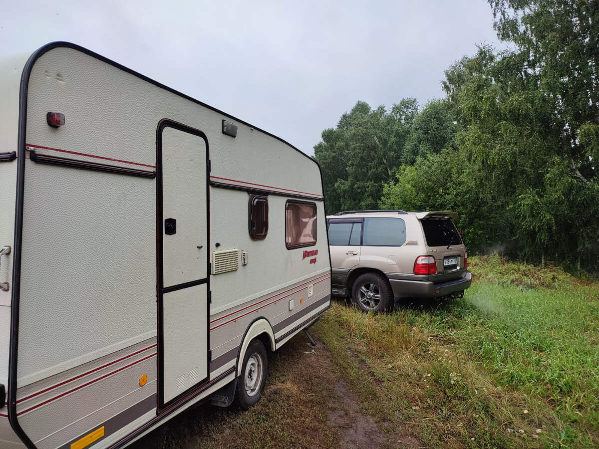 Утро в поле