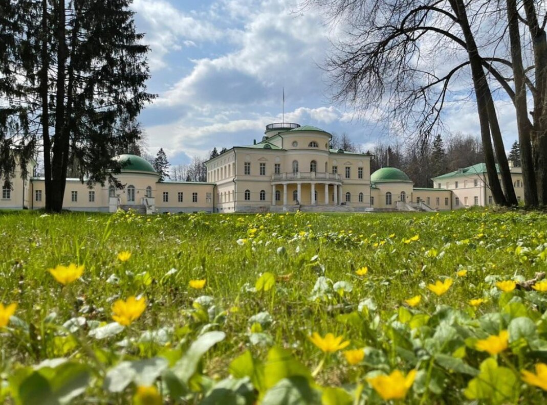 чистяк весенний - кстати пишут когда в парке на газоне есть это растение, значит все в порядке с экосистемой. Наш летний сад в Питере очень гордится, что после реконструкции появился чистяк