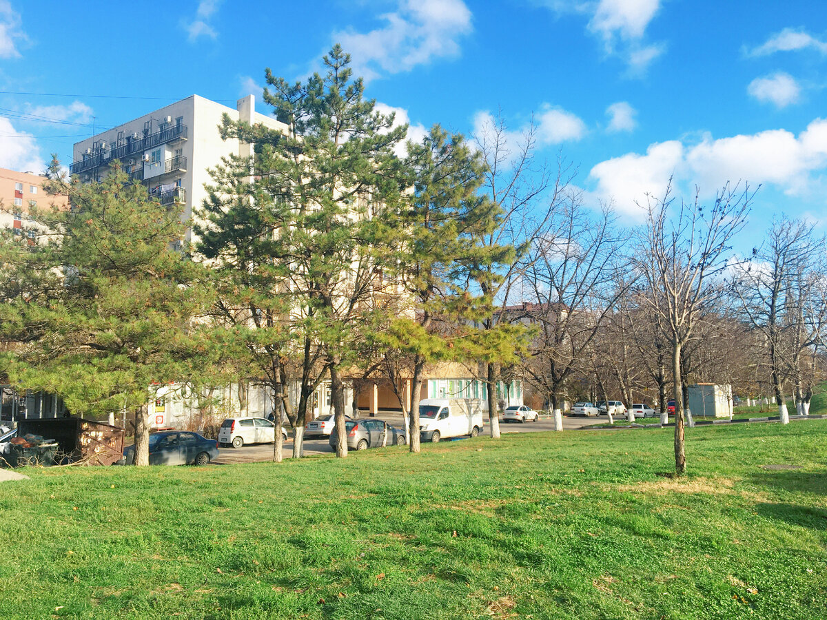 г.Новороссийск, ул.Видова, декабрь 2021г.