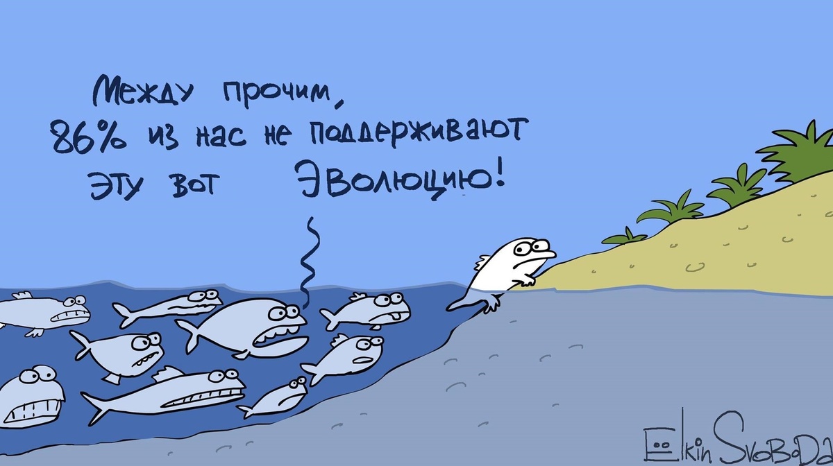 Типичные рыбы и их нетипичная подруга. Источник: Яндекс