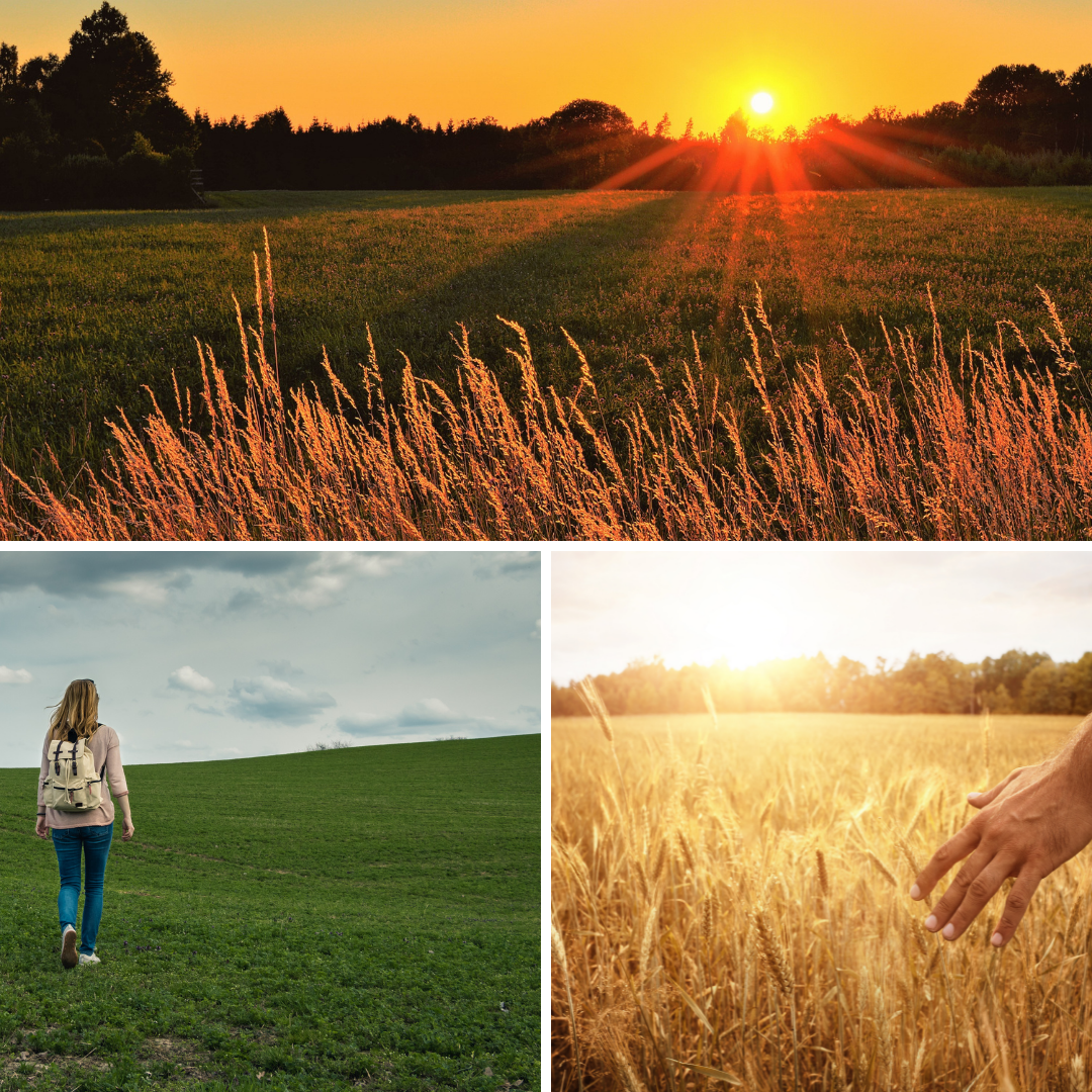 Добавьте описание