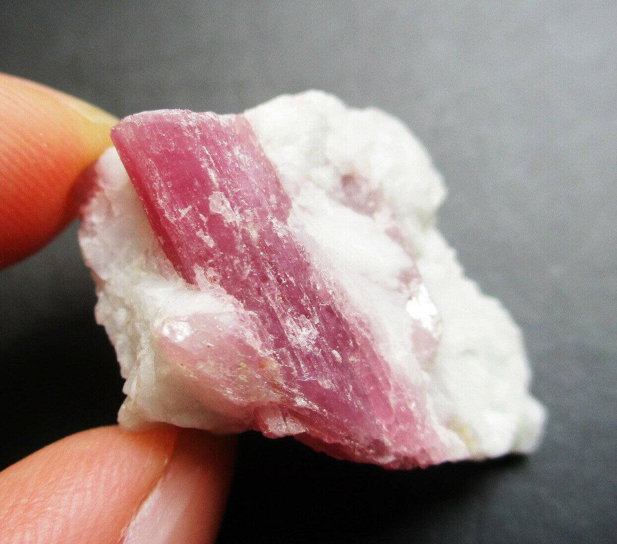 Источник: sdlgiftstore.tumblr.com