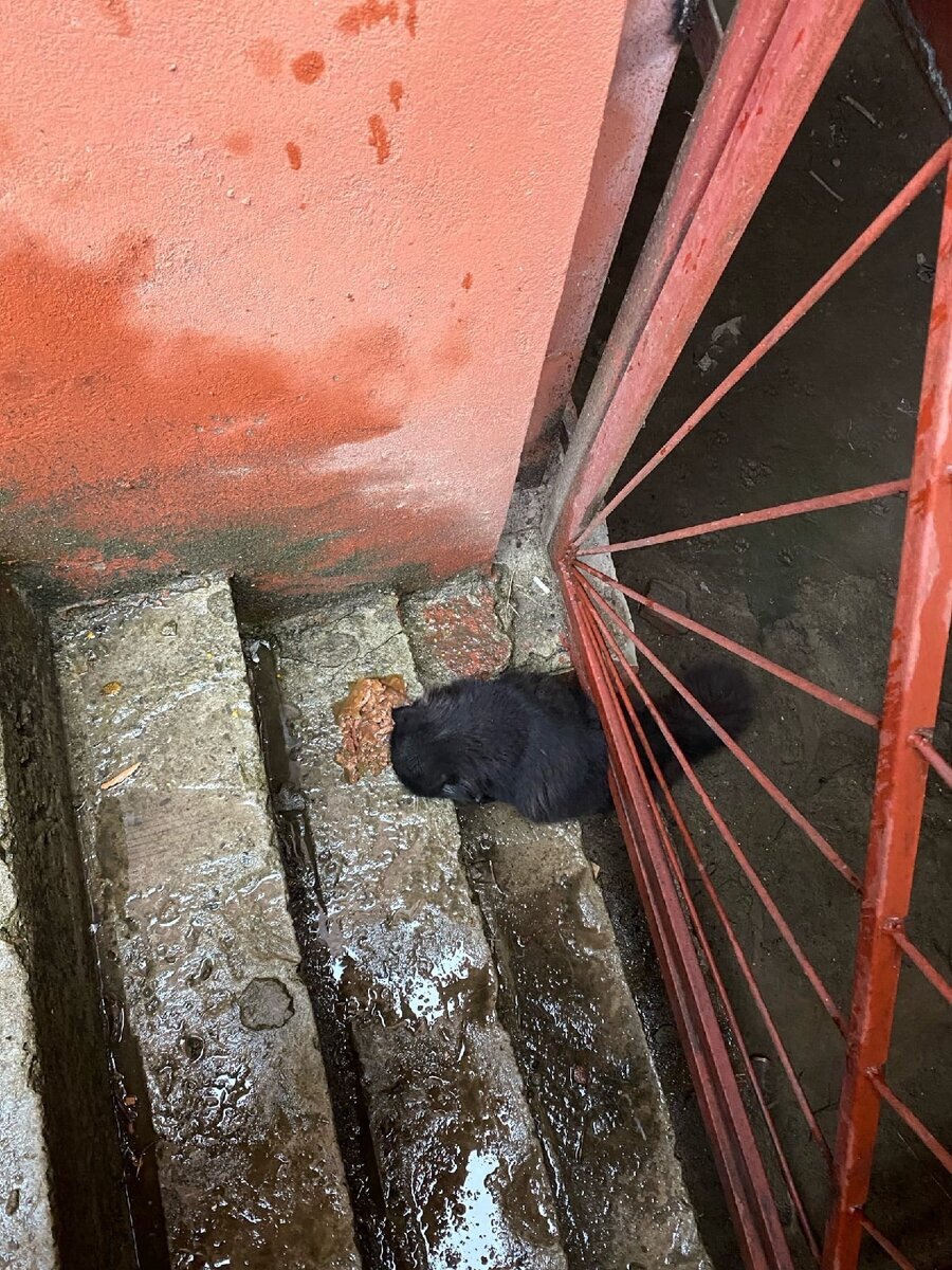 Добавьте описание