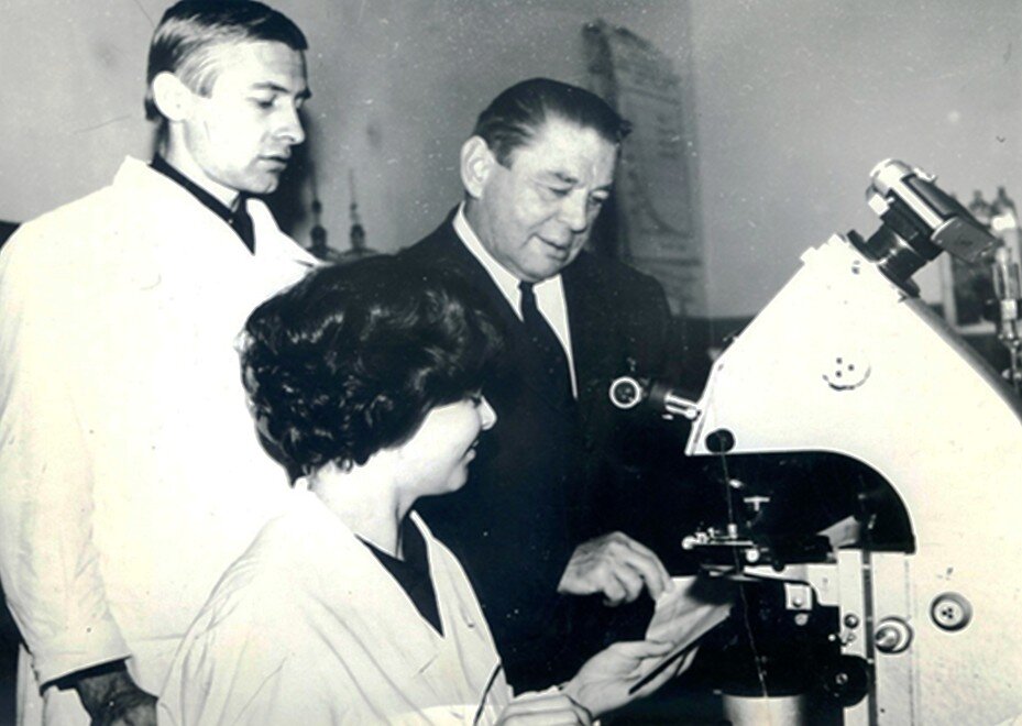 Профессор В.П. Мелешко с сотрудниками В.Ф. Селеменевым и Н.А. Полухиной обсуждают результаты по набуханию ионитов