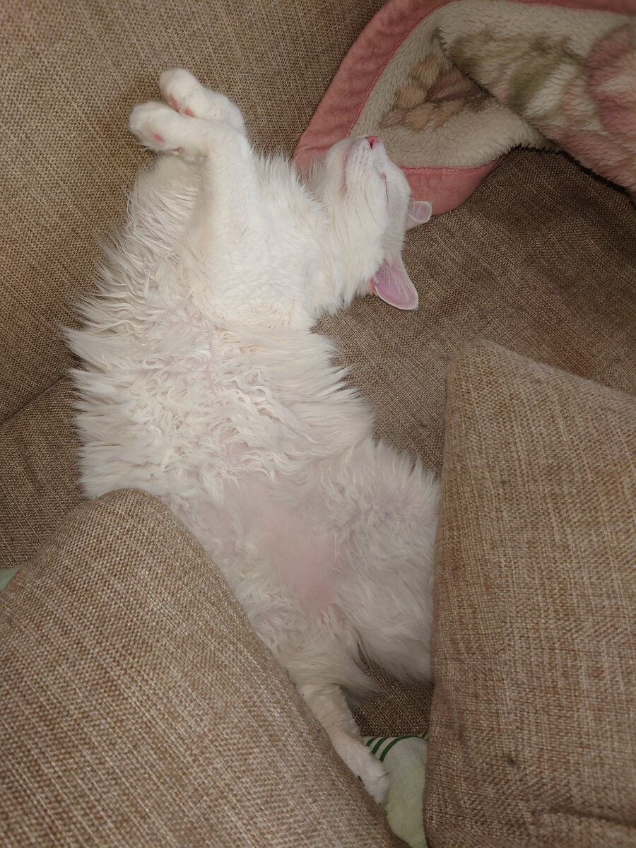 Лукум сейчас. Фото автора.