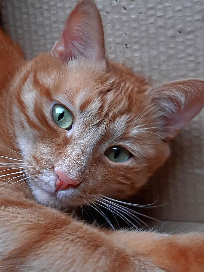 Источник:  https://www.boredpanda.com