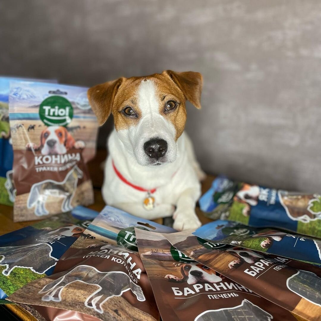 Кроме того, в ассортименте бренда TRIOLможно найти многообразие ингредиентов и вкусов, которые сочетают в себе пользу, качество и доступность.