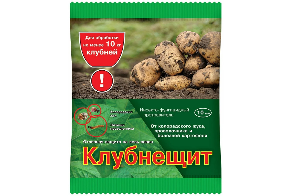 командор плюс для обработки клубней. картофель семенной обработанный. обработка клубней картофеля. обработка картофеля перед посадкой. обработка картофеля перед посадкой.