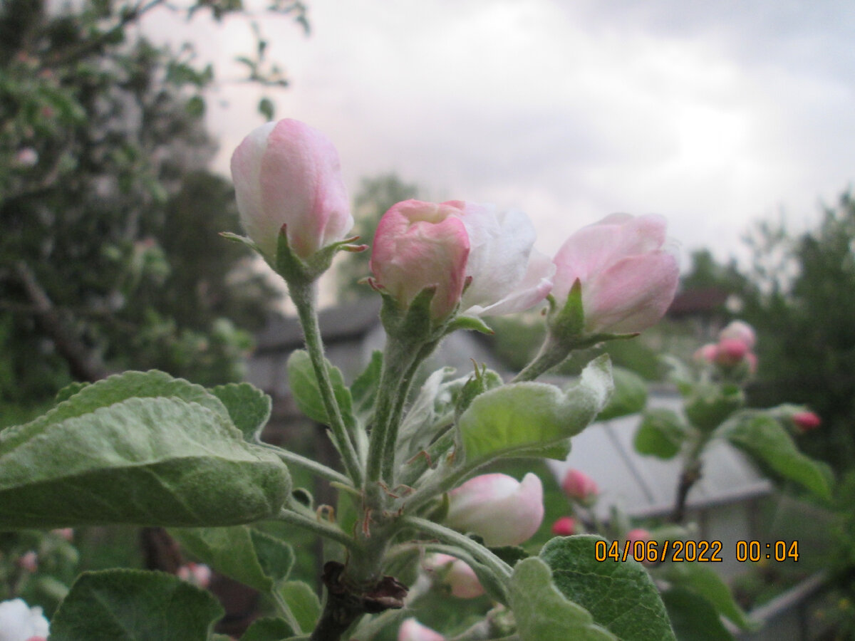 Чудесно, не правда ли?