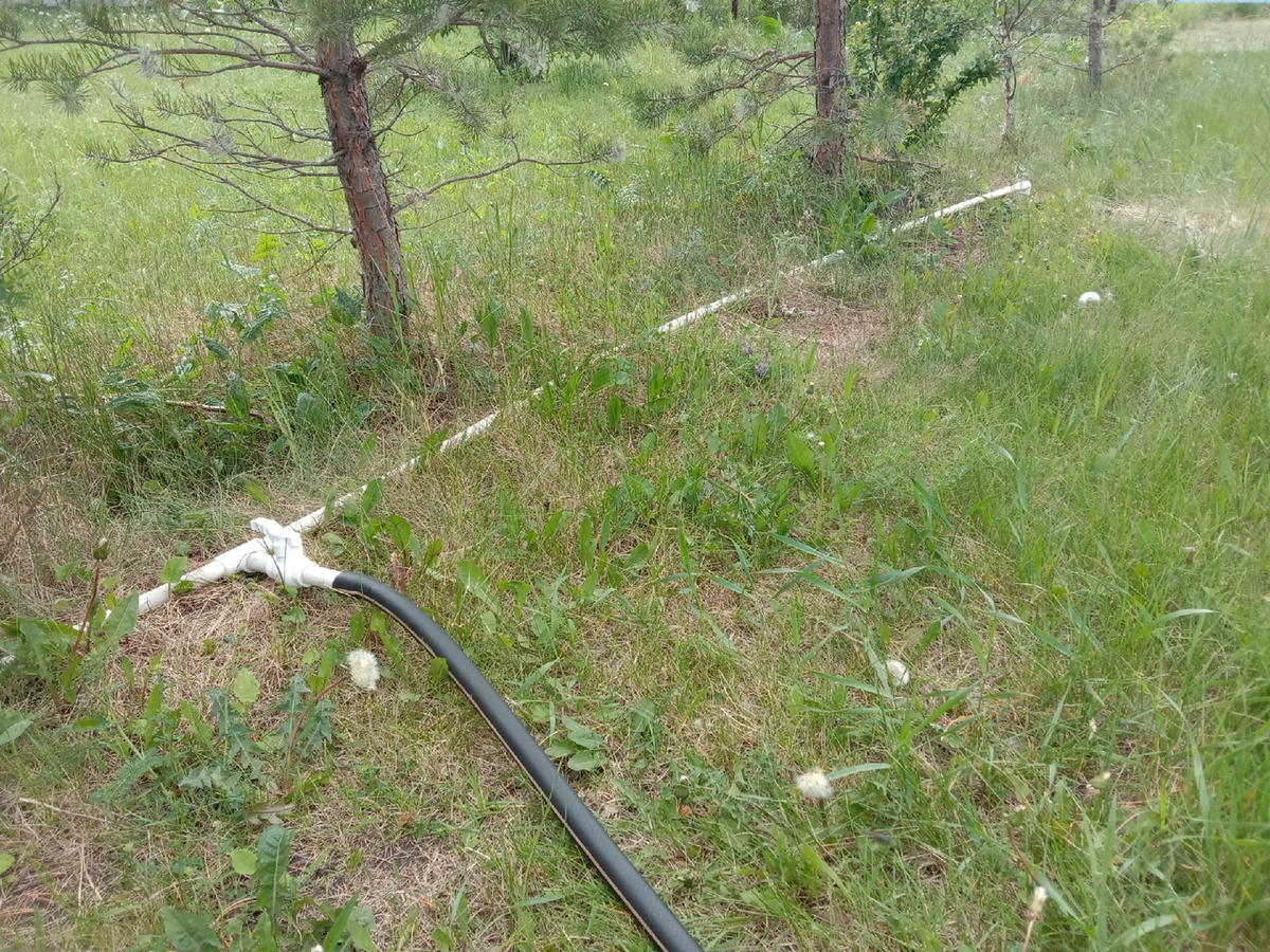 Наша водопроводная система. Справа выход из домашнего водопровода, слева шланг из дождевой бочки