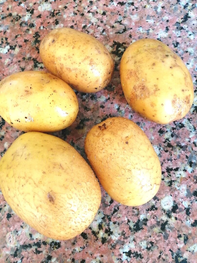 Картофель