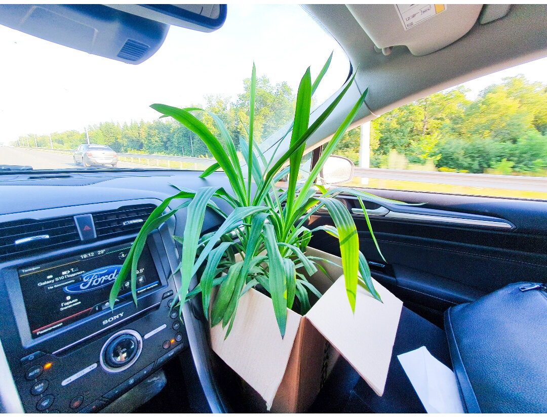 Первые жильцы нового дома