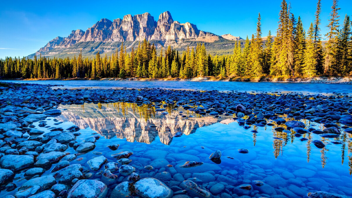 взято из свободных источников