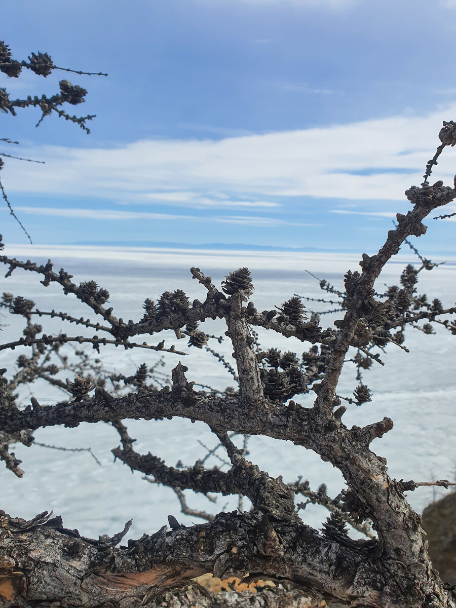 Вид на Байкал с Хобоя