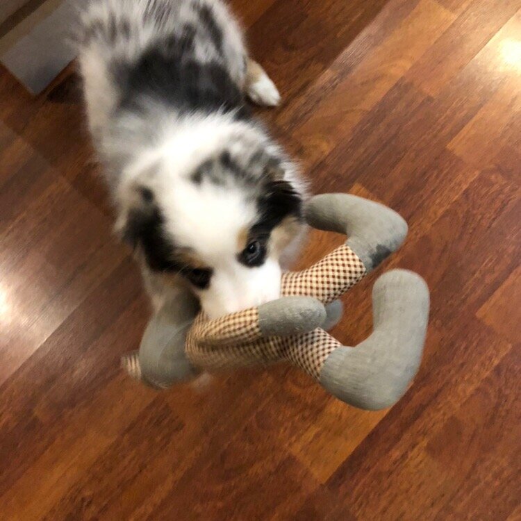 Кто не спрятался - Гел не виноват.