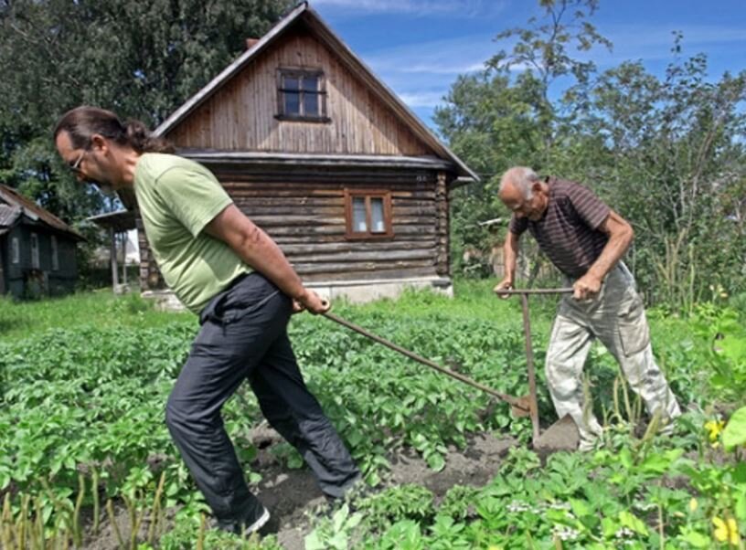 Примерно так мы должны выживать (иллюстрация из открытых источников)