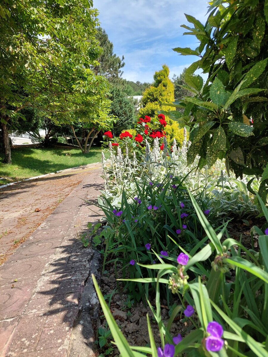  Территория у санатория "Архипово-Осиповка". Фото:  yandex.ru/maps  Нелли С.