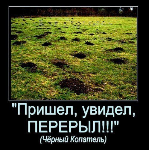 https://vk.com/club64488866