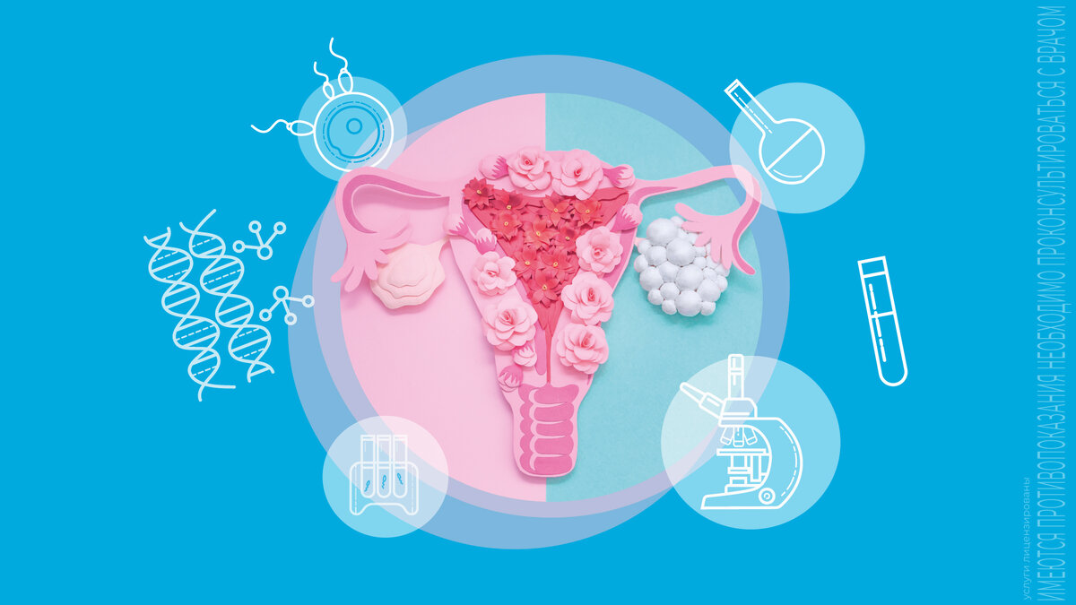 ситилаб владимир. ситилаб нерехта. ситилаб нерехта. улица карла либкнехта 179. карла либкнехта 69.