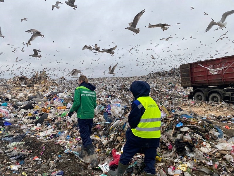  Фото: Северо-Западное Управление Росприроднадзора 