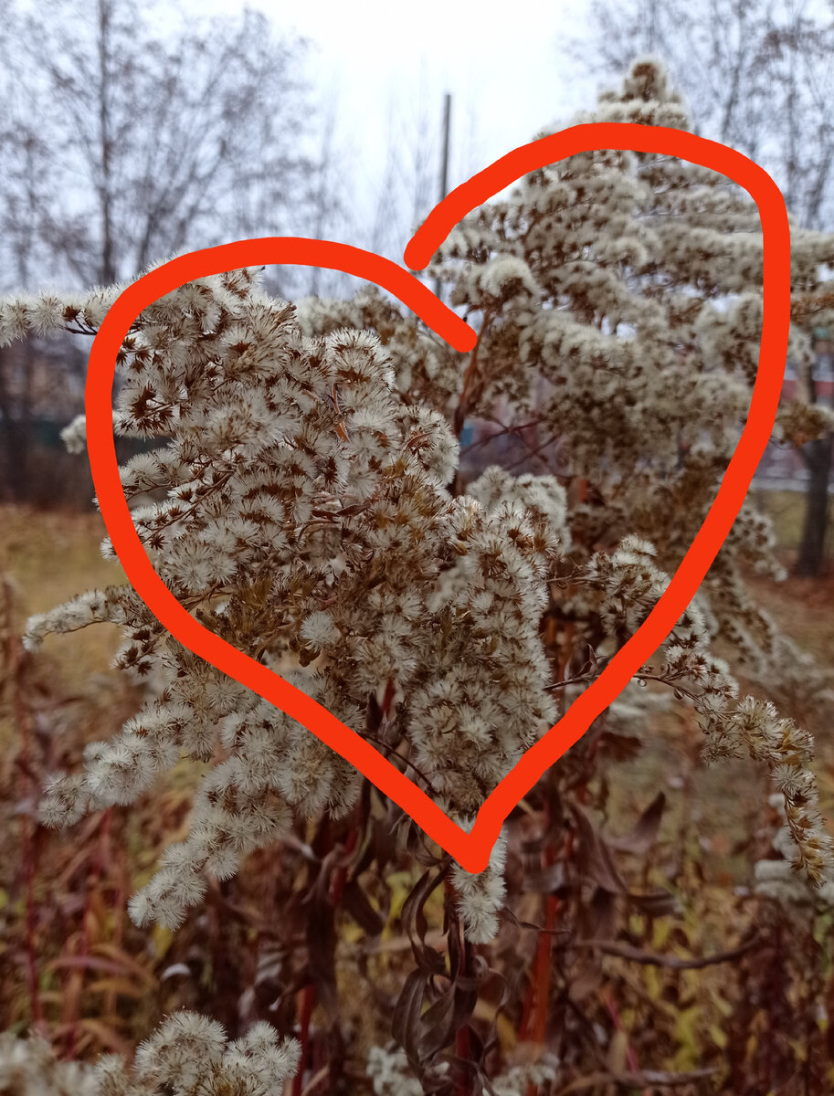 Мы принимаем ту любовь, которую, как мы думаем, мы заслуживаем. Стивен Чбоски