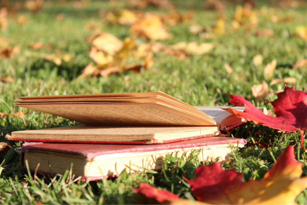 Autumn books. Книги про осень. Лист книги. Осень книги фон. Книга и осенние листья.