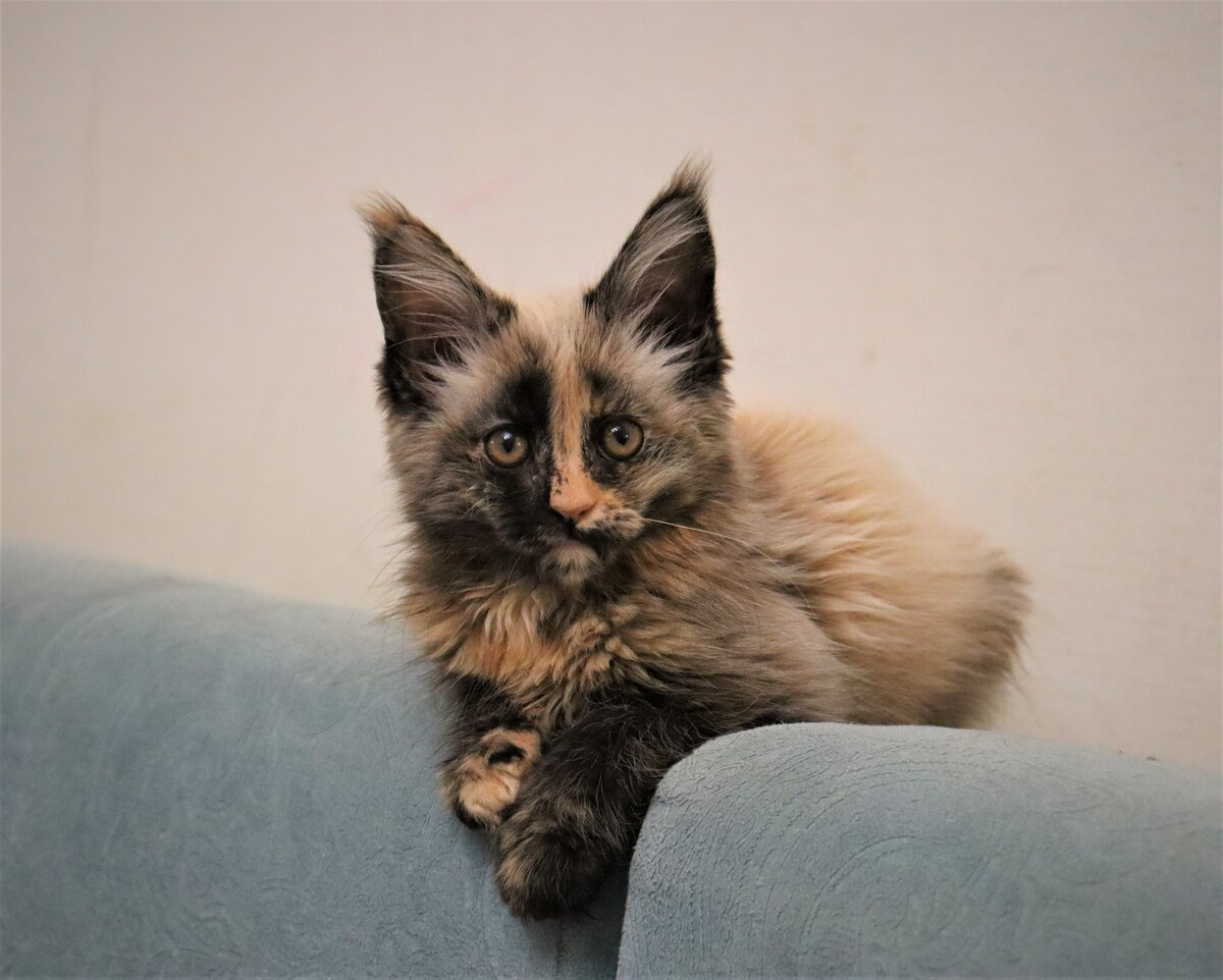 Фото из личного архива.