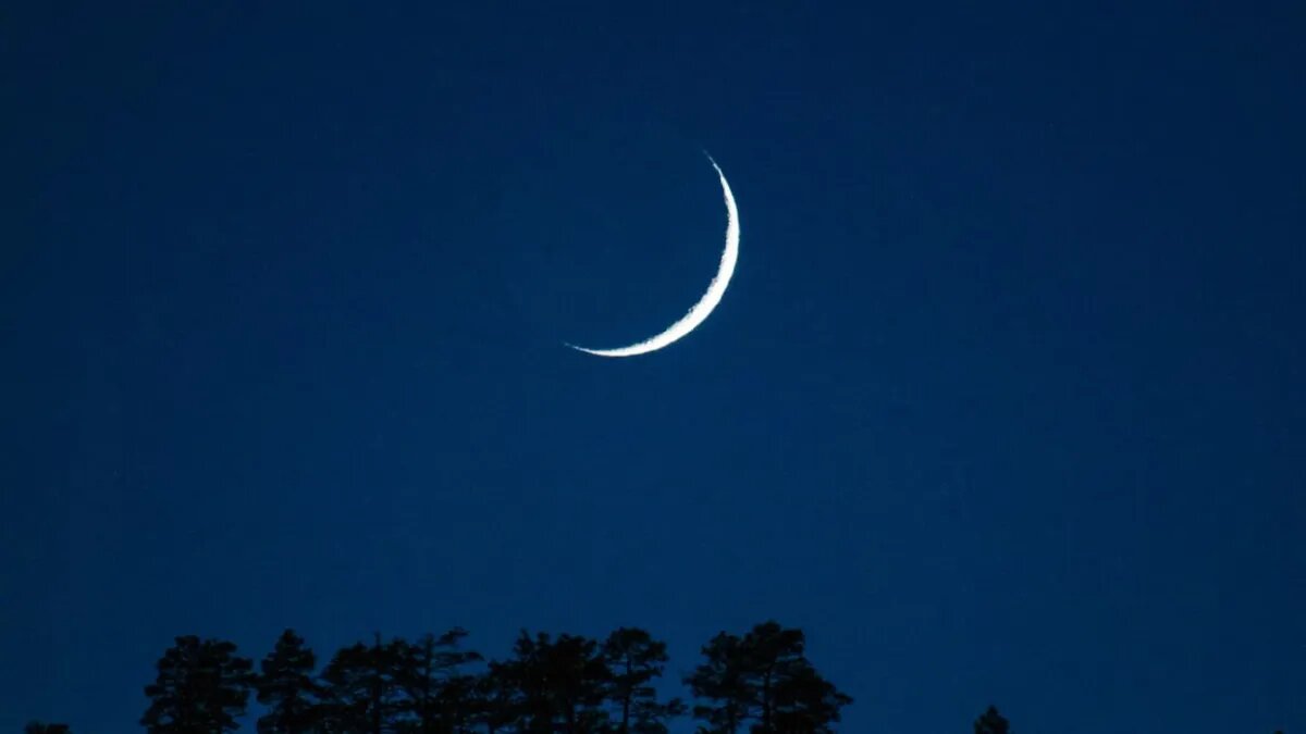 В Новолуние не стригут ни ногти, ни волосы. Фото: www.piqsels.com