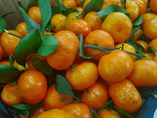     Фото: Алёна ГОЛЕВА